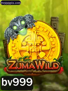 Explorando o Fascinante Mundo de ZumaWild: Regras e Estratégias