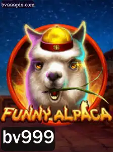 Explorando o Mundo de FunnyAlpaca: Uma Aventura Divertida e Enriquecedora